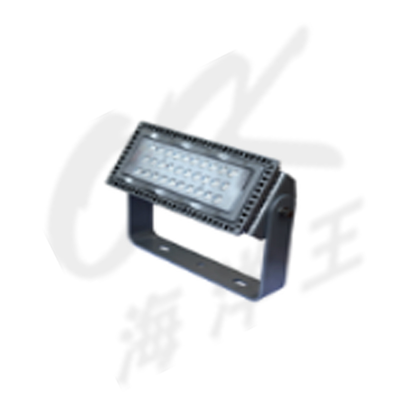 100W投光灯 100W投光灯