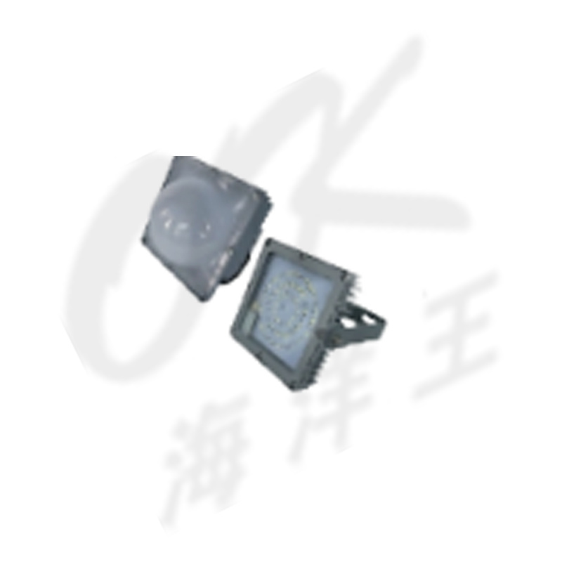 投光灯 投光灯